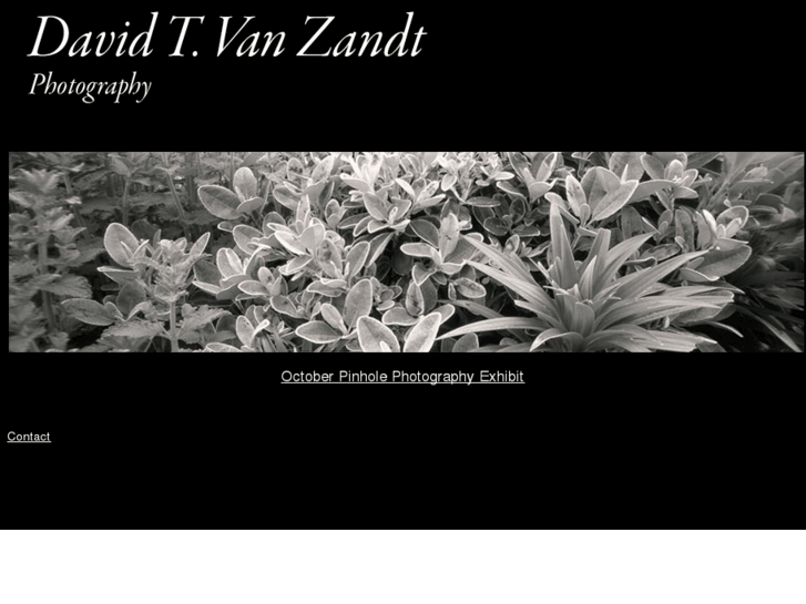 www.dvzphotos.com