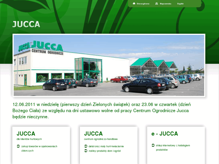 www.jucca.com.pl