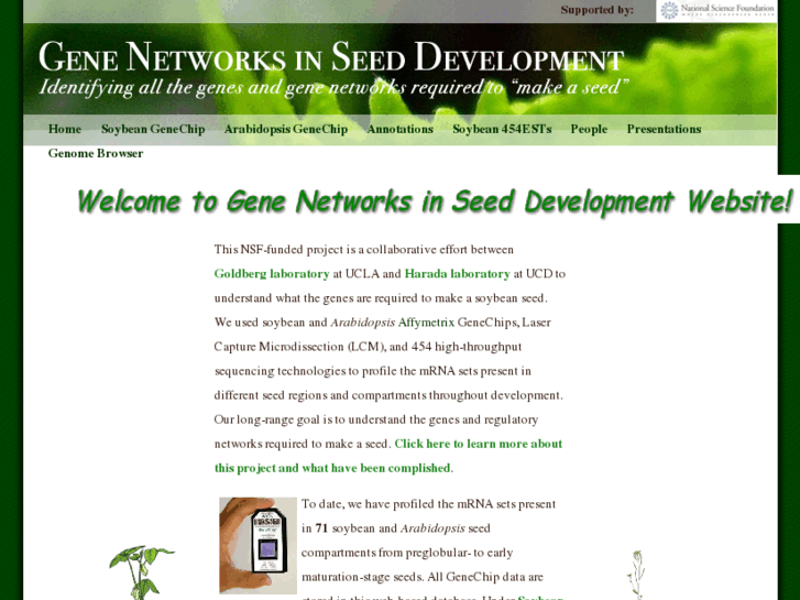 www.seedgenenetwork.net
