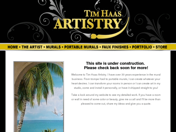 www.timhaasartistry.com