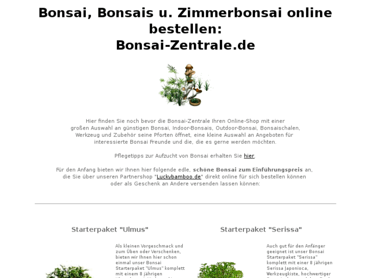 www.bonsai-zentrale.de