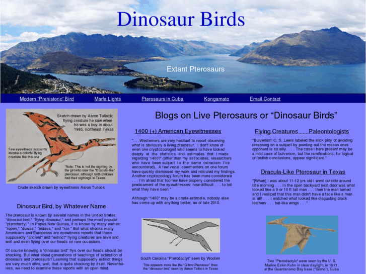 www.dinosaurbirds.com