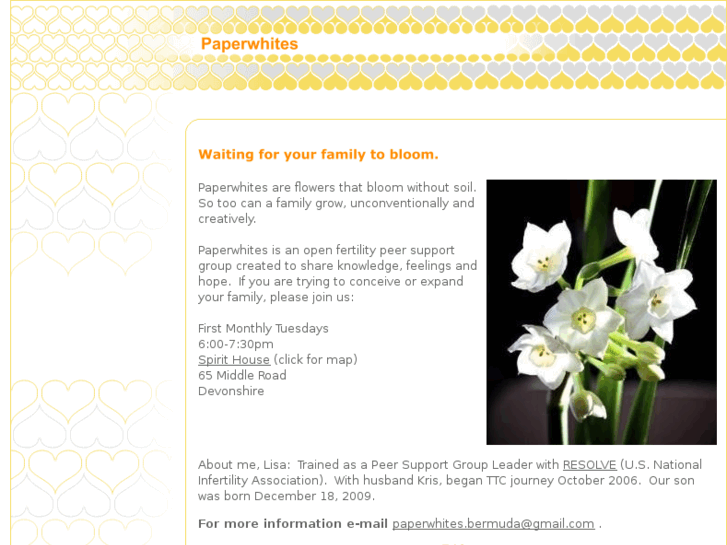 www.paperwhitesbermuda.com