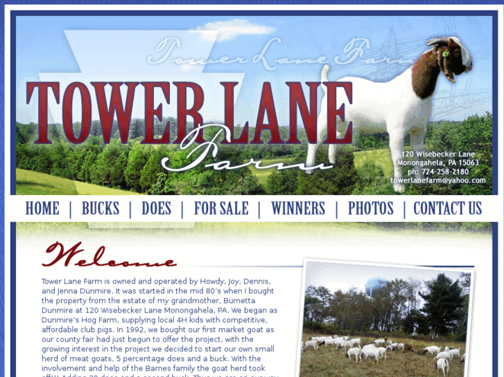 www.towerlanefarm.com