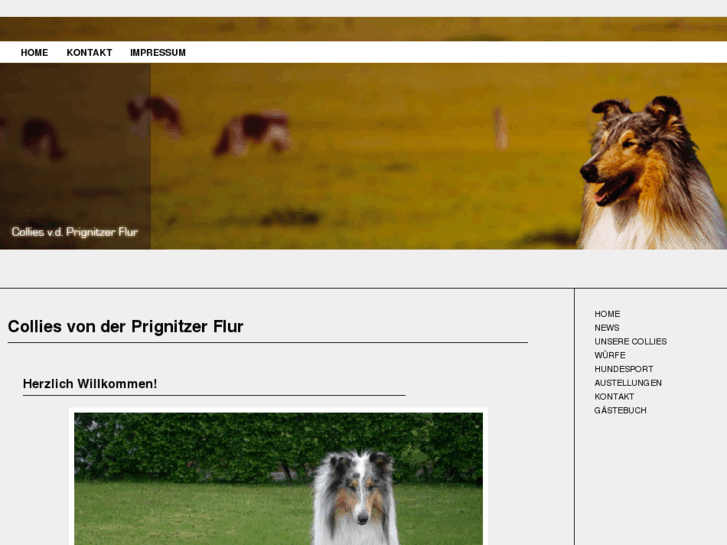 www.collies-erdmann.de