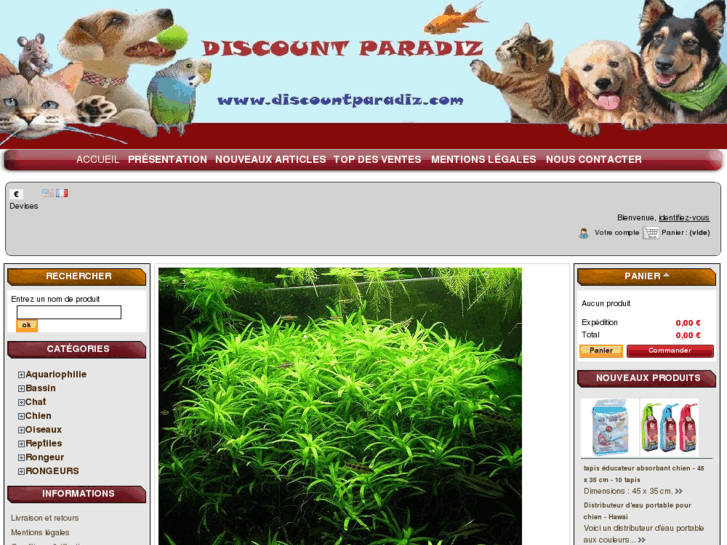 www.discountparadiz.com