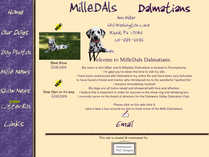 www.milledals.com