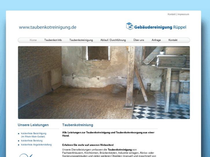 www.taubenkotreinigung.de