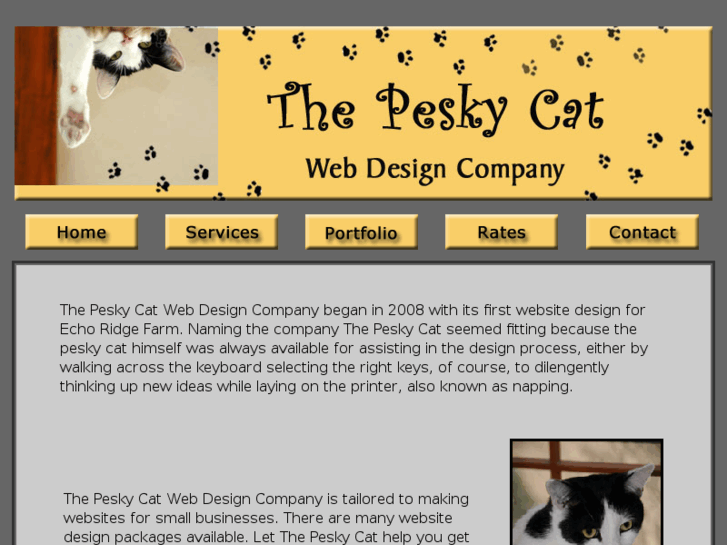 www.thepeskycat.com