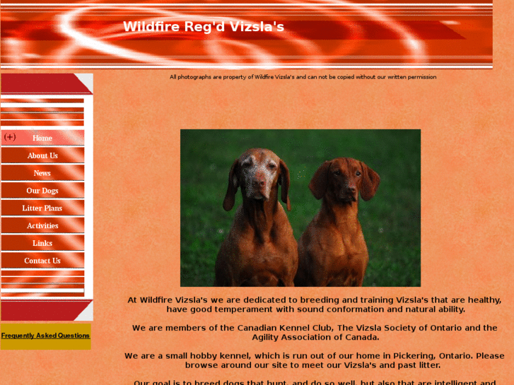 www.wildfirevizslas.com