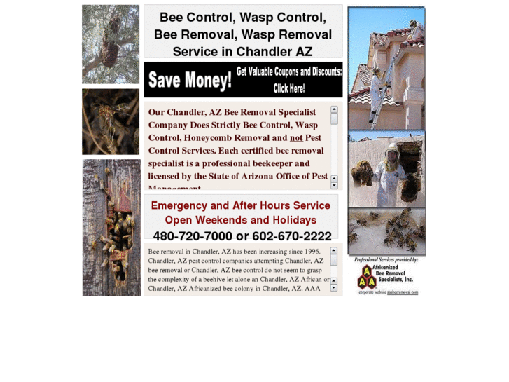 www.beecontrolchandleraz.com