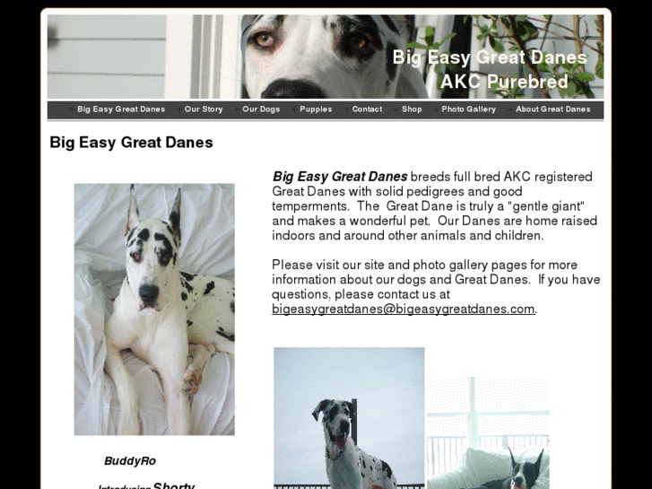 www.bigeasygreatdanes.com