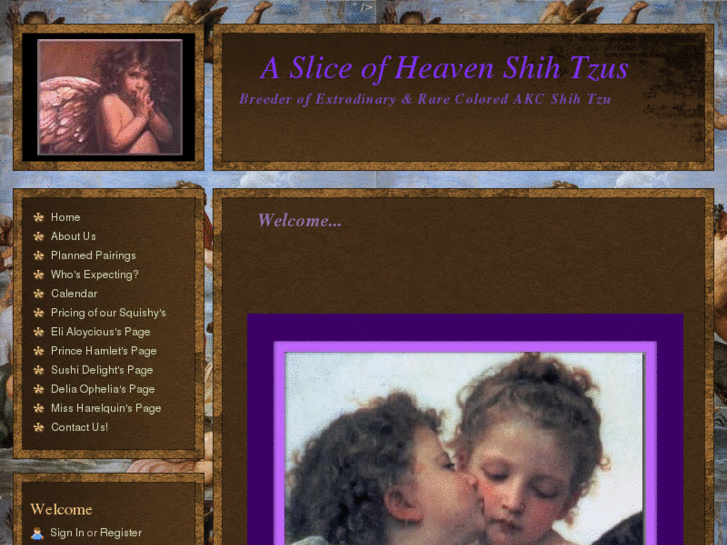 www.asliceofheavenshihtzus.com