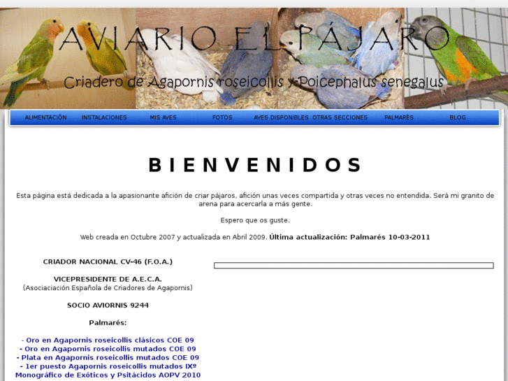 www.aviarioelpajaro.com