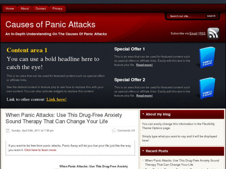 www.causesofpanicattacks.org