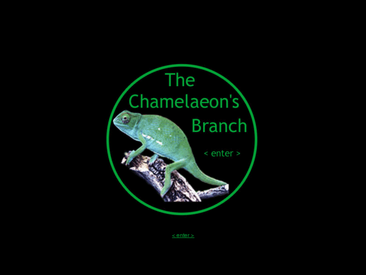 www.chamelaeon.com