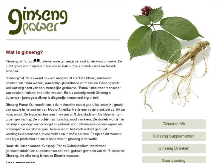 www.ginseng-power.com