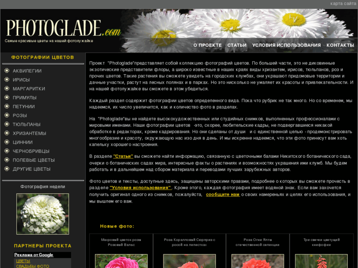 www.photoglade.com