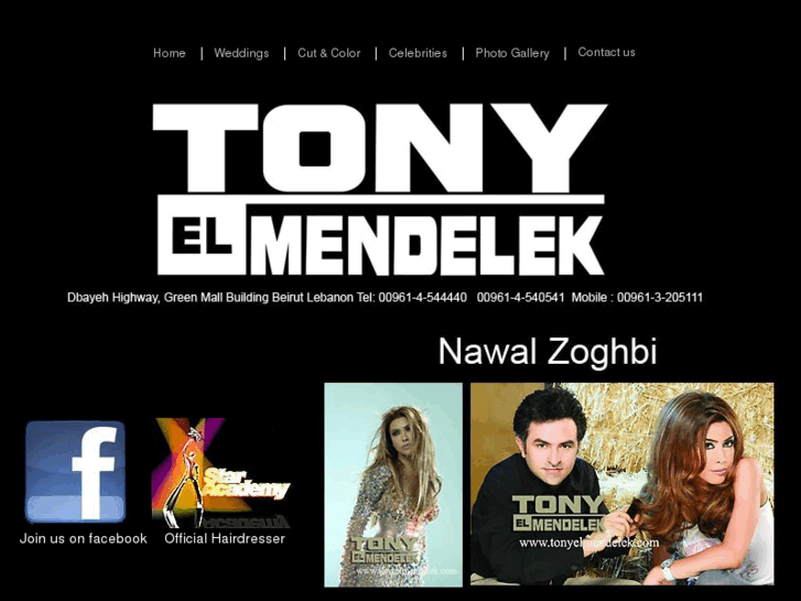 www.tonyelmendelek.com