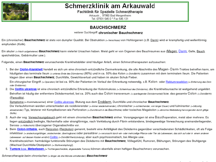 www.bauch-schmerz.de