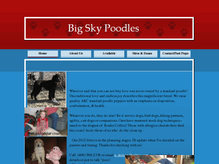 www.bigskypoodles.com