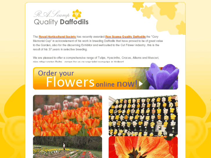 www.daffodilsandtulips.com