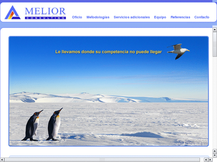 www.meliorconsulting.es