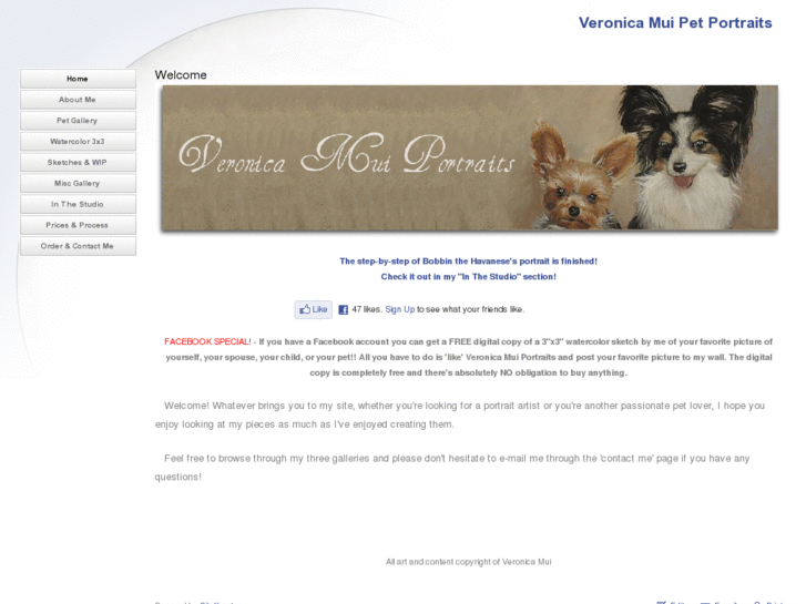 www.veronicamuiportraits.com