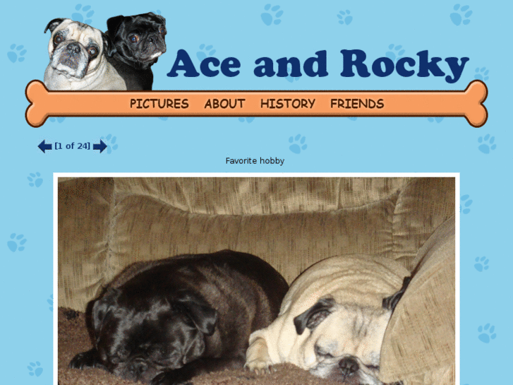 www.aceandrocky.com