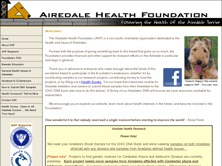 www.airedalehealthfoundation.org