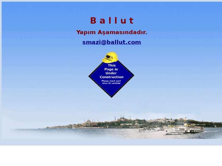 www.ballut.com