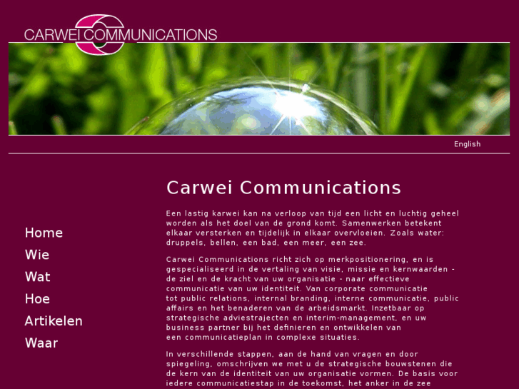 www.carwei.com