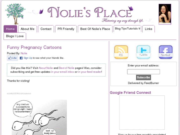 www.noliesplace.com