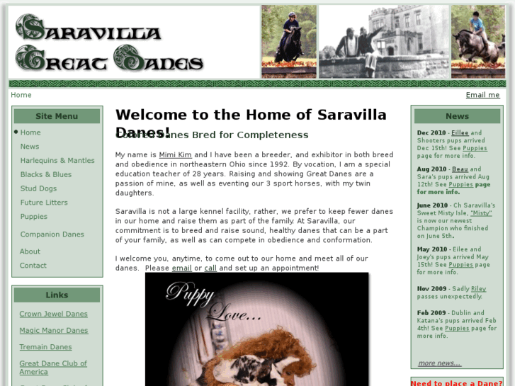 www.saravilladanes.org