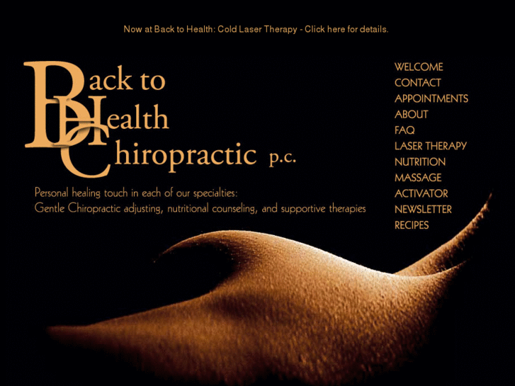 www.backtohealthchiro.com