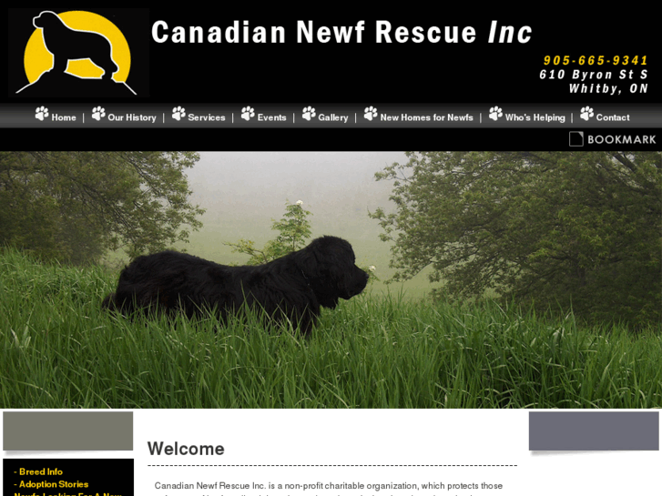 www.canadiannewfrescue.ca