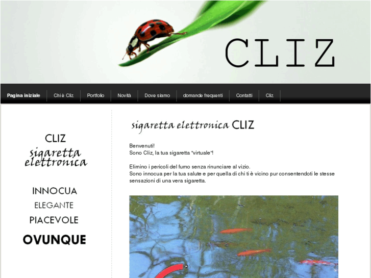 www.cliz.org