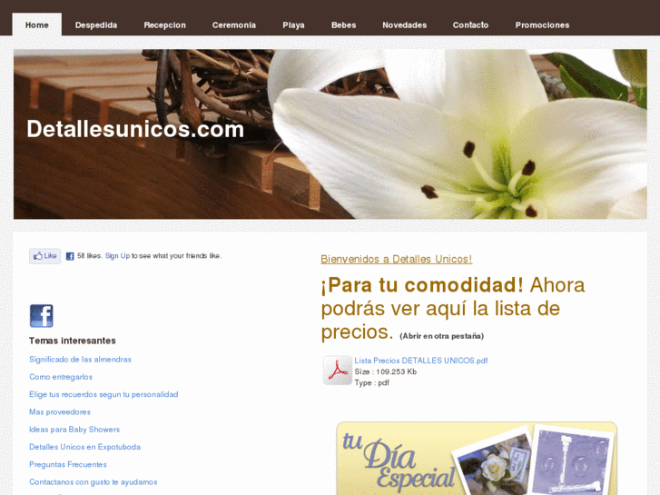 www.detallesunicos.com