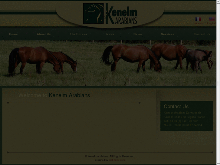 www.kenelmarabians.com