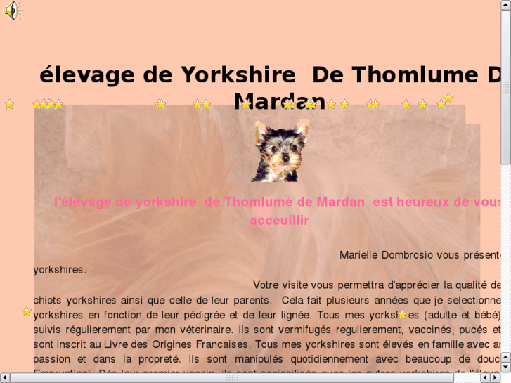 www.yorkshire-yorkshire.com