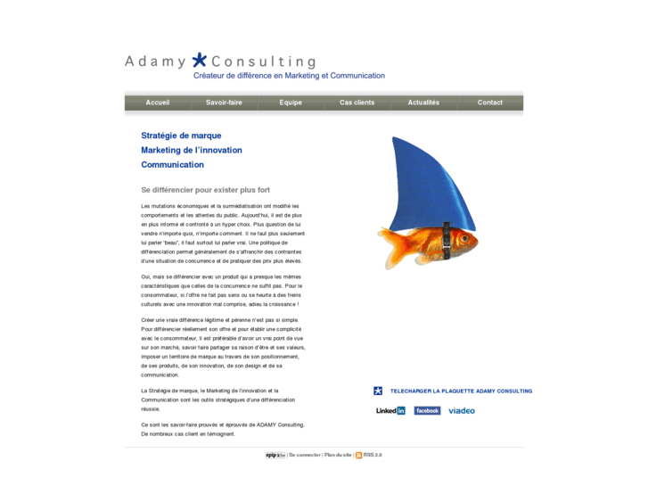 www.adamy-consulting.com