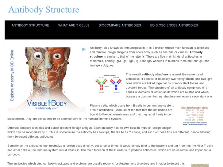 www.antibodystructure.com