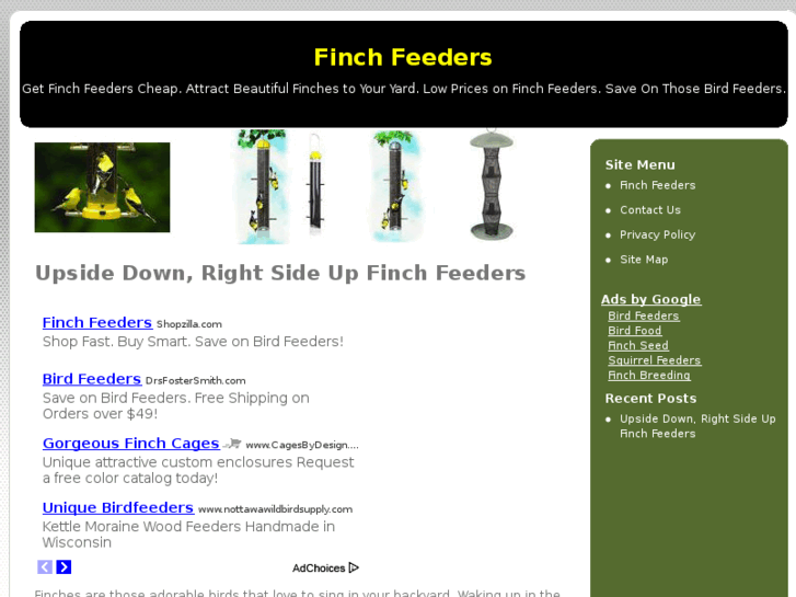 www.finchfeeders.org