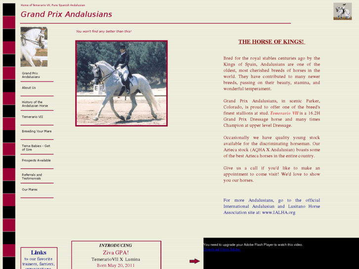 www.grandprixandalusians.com