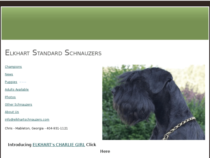 www.myschnauzers.com