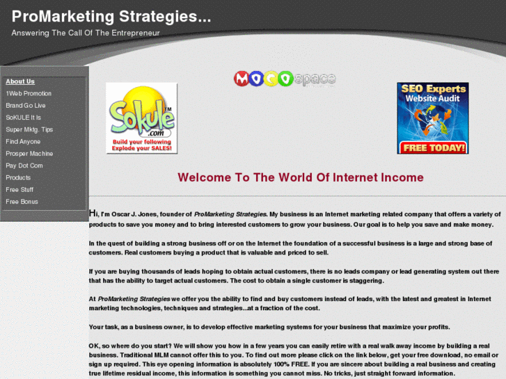 www.promarketing-strategies.com