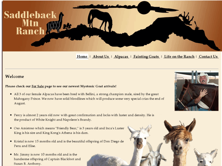 www.saddlebackmtnranch.com