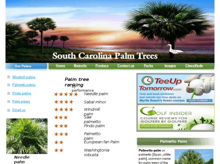 www.scpalmtrees.com