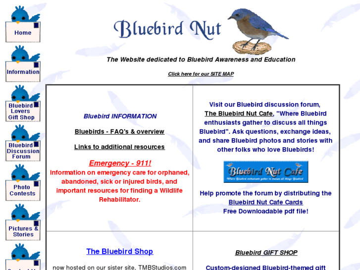 www.bluebirdnut.com