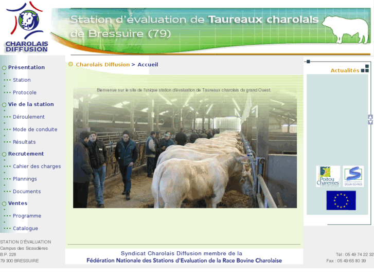 www.charolais-diffusion.com